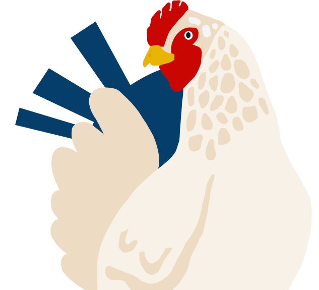 chicken